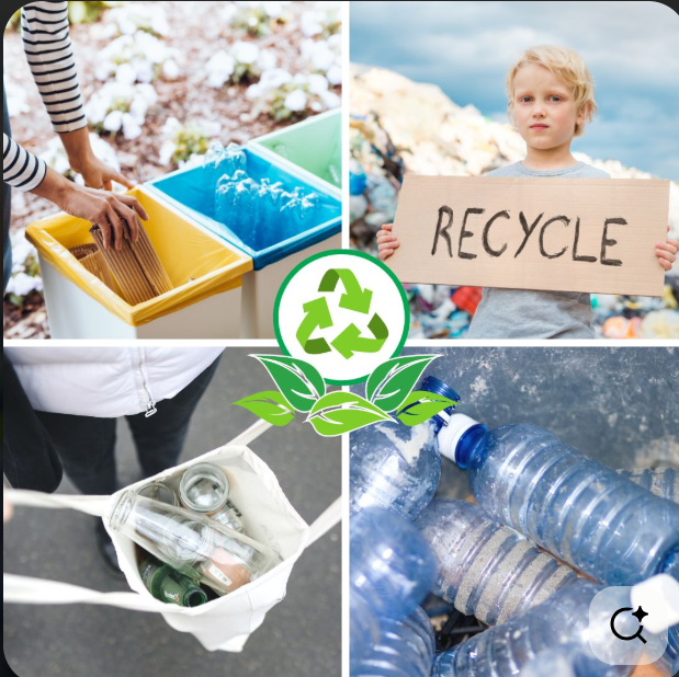 Royal World Waste Managers Limited services and community outreach